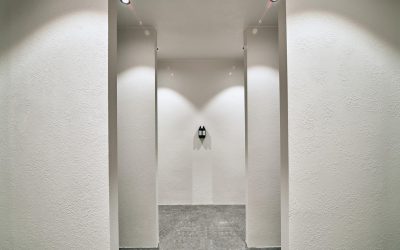 novica-mikrotoping-image1-res